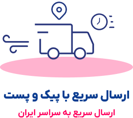 ارسال با پیک